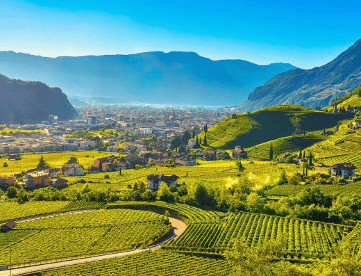 Cycling tour from Bolzano – Lake Garda – Venice