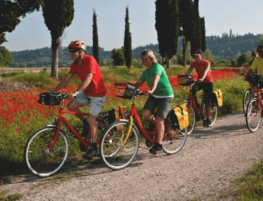 Cycling tour from Bolzano – Lake Garda – Venice